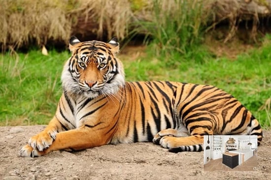 Box ouvert à 1000 Brussel (Belgique) - Prix 500.000 &euro;