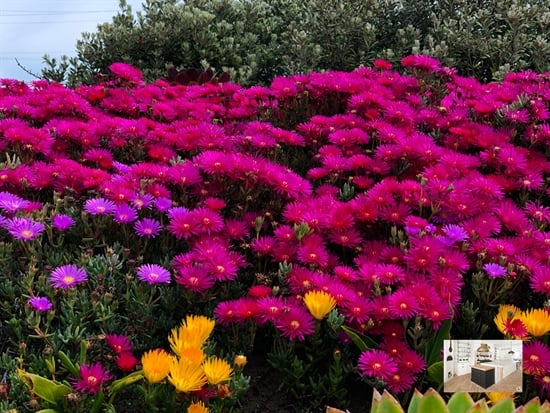 Appartement à 1840 Londerzeel (Belgique) - Prix 350.000 &euro;