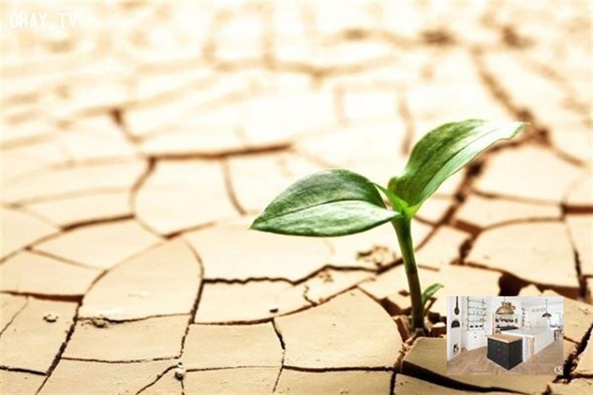 Image 32 : Appearance property IN 1000 Bruxelles (Belgium) - Price 15.246 &euro;