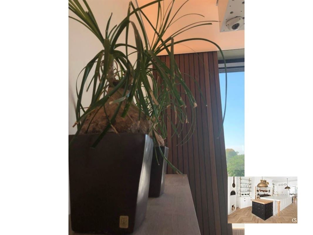 Image 19 : Appartement à 1180 Uccle (Belgique) - Prix 450 &euro;