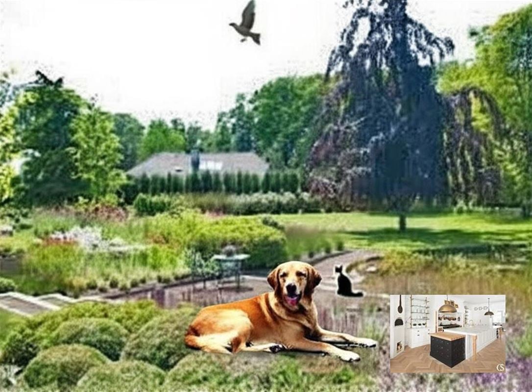Huis