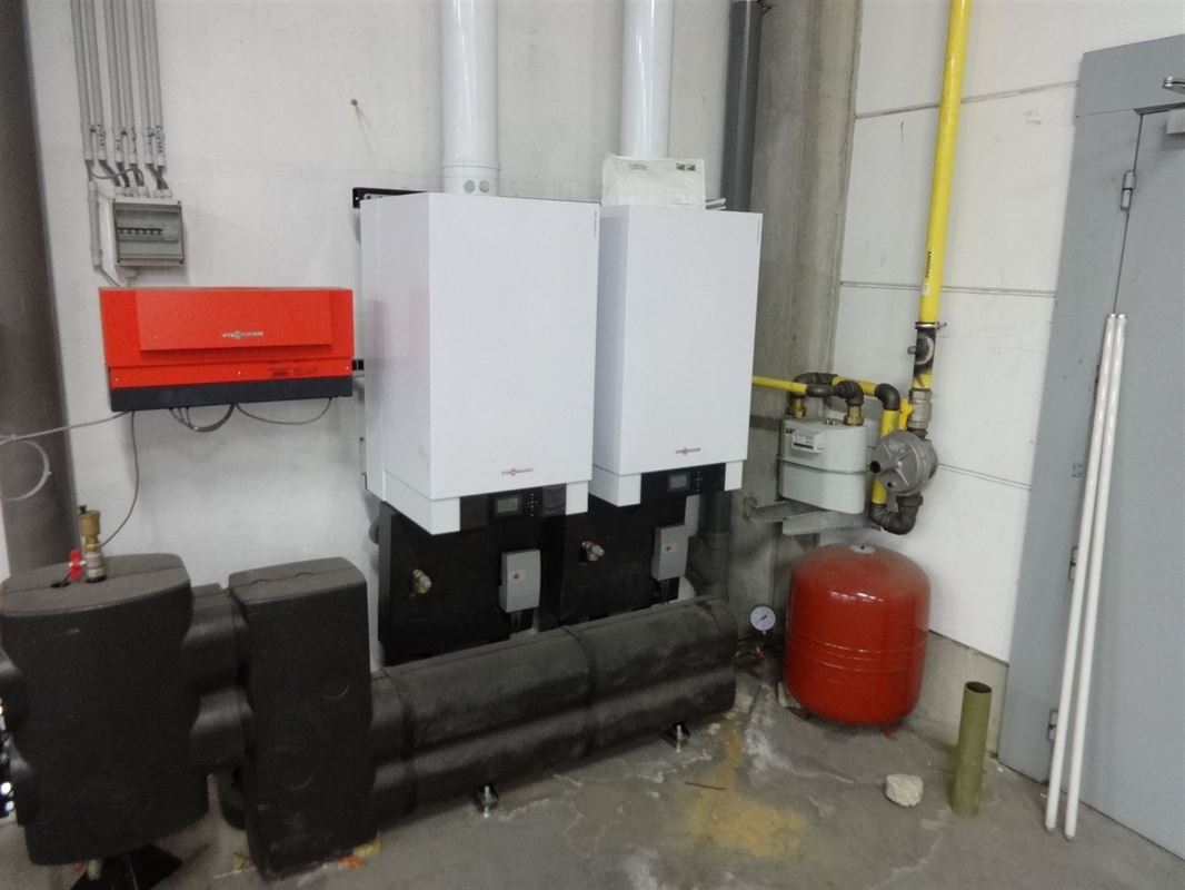 Foto 6 : Magazijn te 9600 RENAIX (België) - Prijs &euro; 4.500