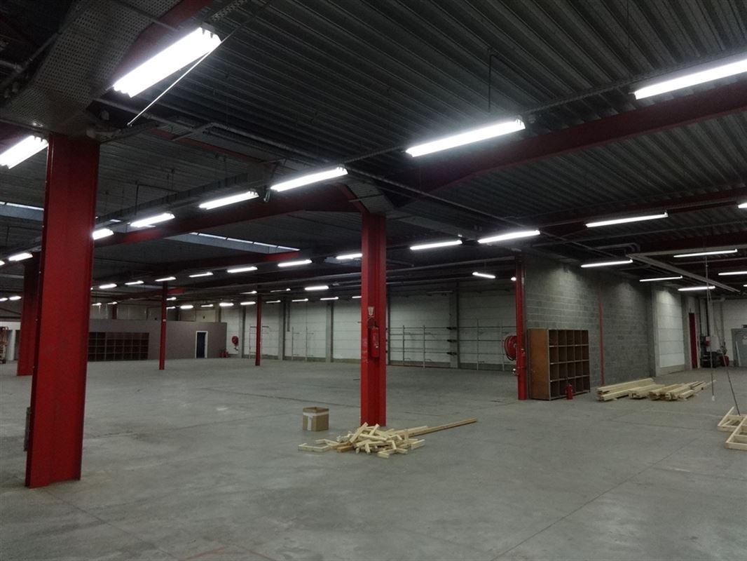 Foto 4 : Magazijn te 9600 RENAIX (België) - Prijs € 4.500