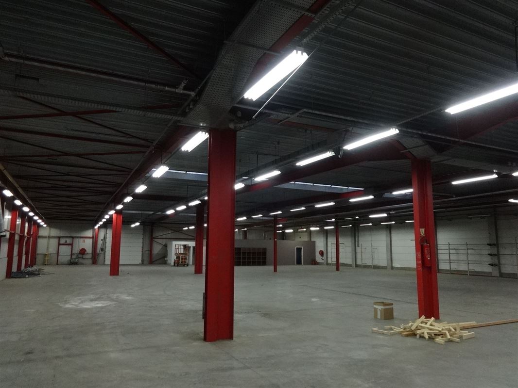 Foto 3 : Magazijn te 9600 RENAIX (België) - Prijs &euro; 4.500