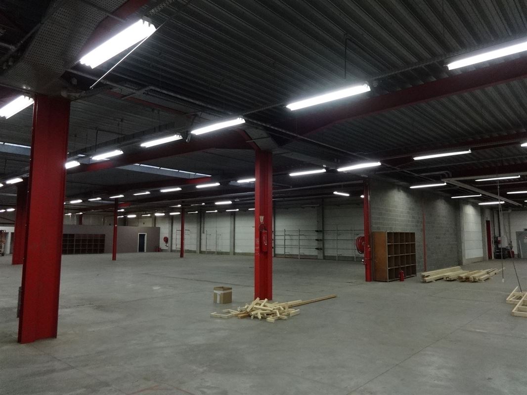 Foto 4 : Magazijn te 9600 RENAIX (België) - Prijs &euro; 4.500