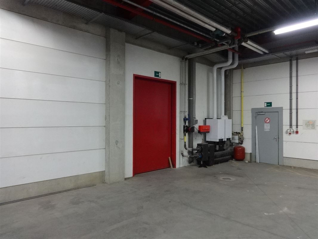 Foto 5 : Magazijn te 9600 RENAIX (België) - Prijs &euro; 4.500