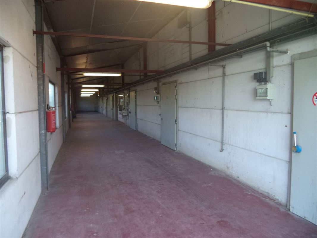 Foto 3 : Opbrengsteigendom te 8530 HARELBEKE (België) - Prijs &euro; 700.000