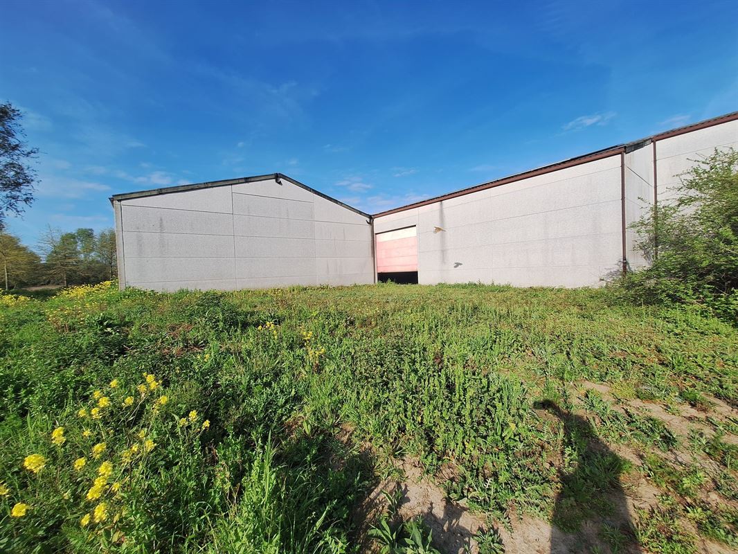 Foto 12 : Magazijn te 8510 KORTRIJK (België) - Prijs &euro; 2.500