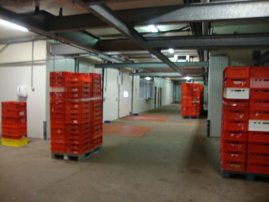 Foto 8 : Magazijn te 7700 MOESKROEN (België) - Prijs &euro; 1.530.000
