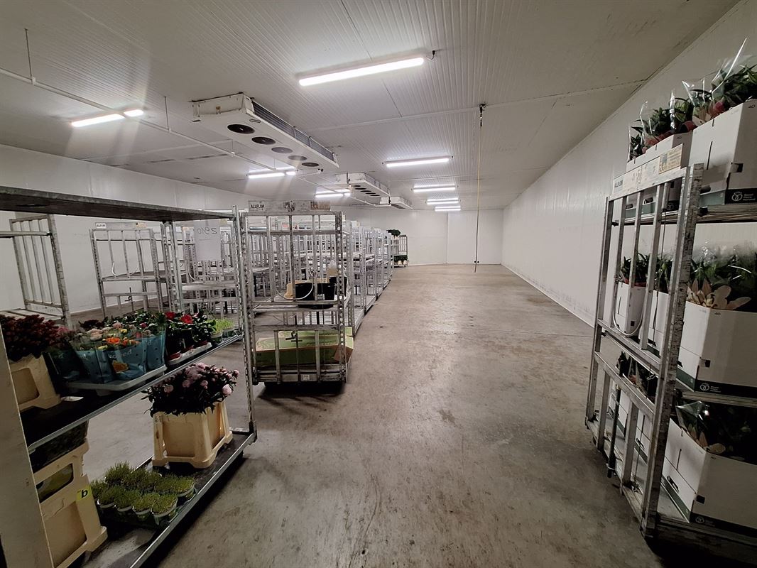 Foto 8 : Magazijn te 8930 MENEN (België) - Prijs &euro; 10.000