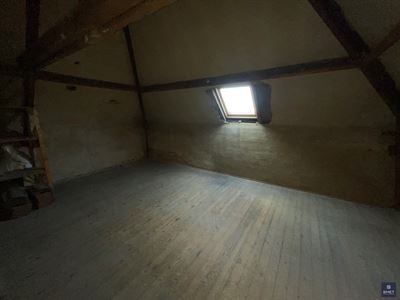 IMG_6908.jpg