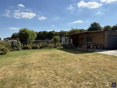 IMG_1371.jpg