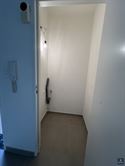 IMG_4291.jpeg