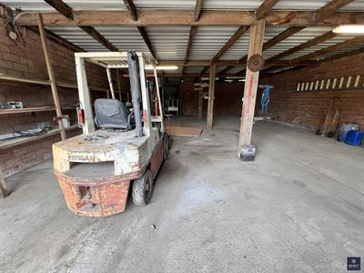 IMG_7876.jpg