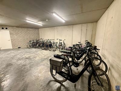 IMG_6461.jpeg