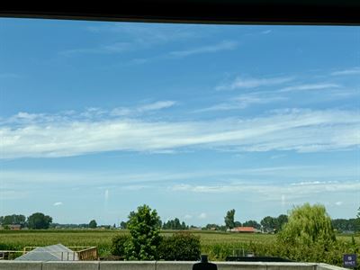 IMG_7001.jpeg
