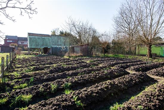 Te renoveren HOB op ruim perceel met veel potentieel in Duffel