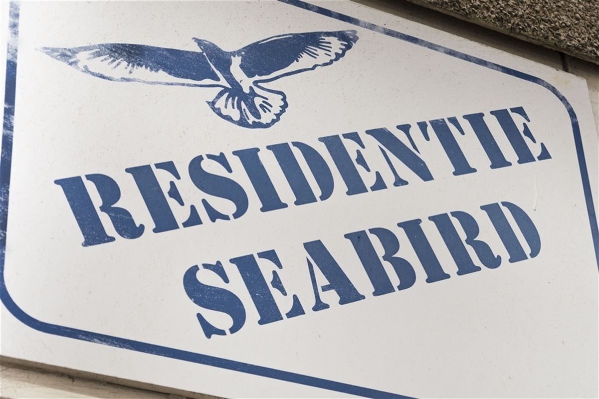 Knus 1-Slaapkamerappartement in Blankenberg te koop te BLANKENBERGE (8370)