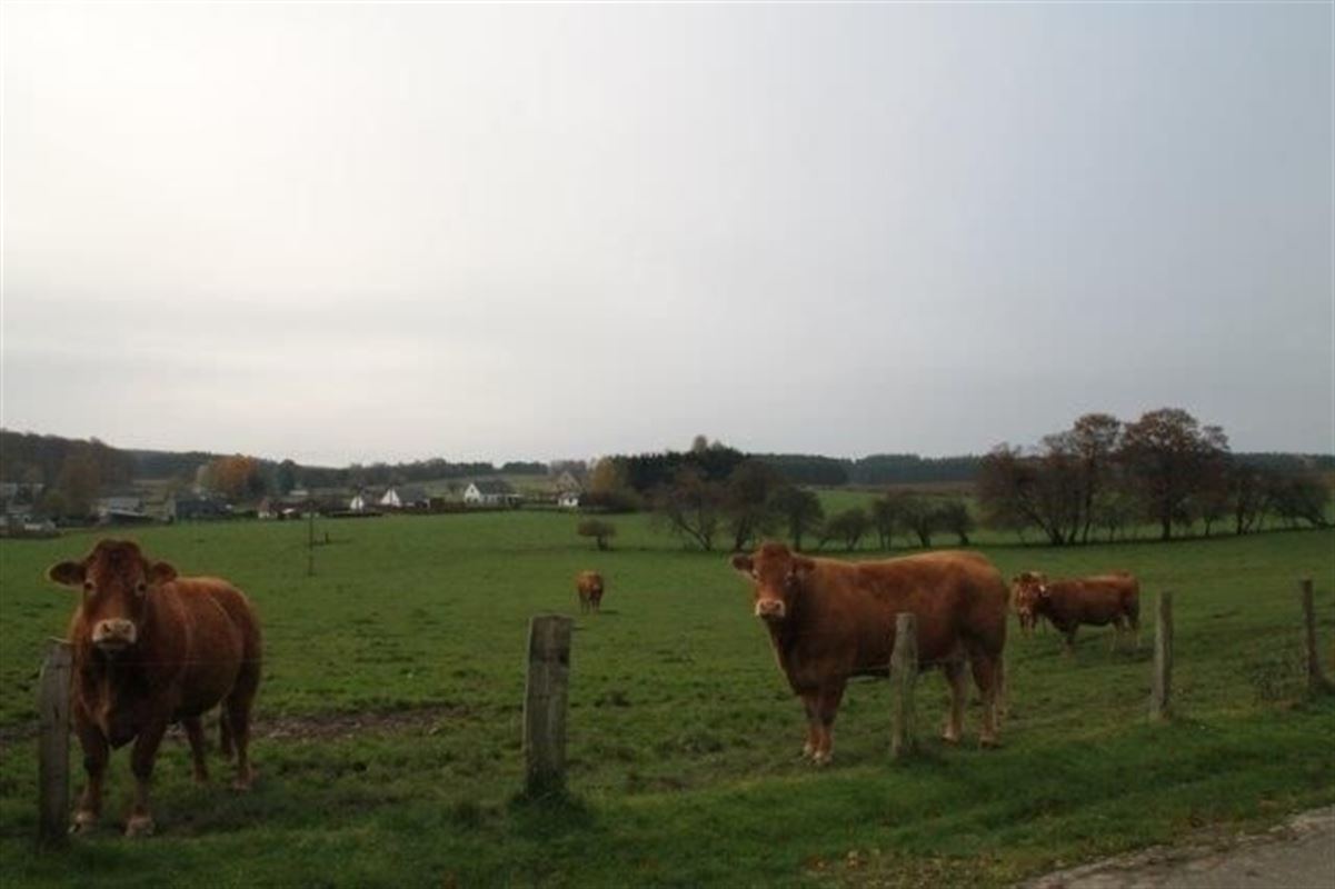 Villagrond Ardennen te koop te PALISEUL (6852)
