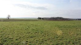 Villagrond Ardennen te koop te HAUT-FAYS (6929) Villagrond Ardennen te koop te HAUT-FAYS (6929)