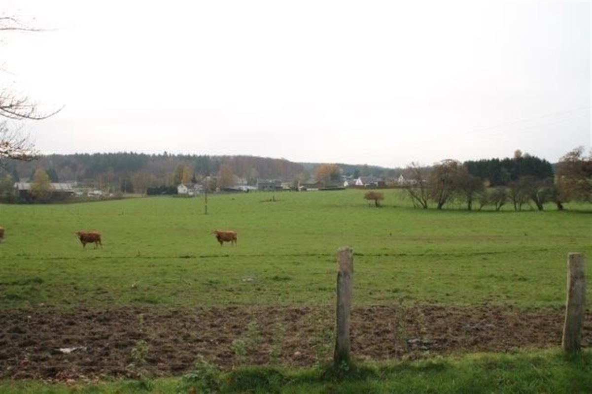 Villagrond Ardennen te koop te PALISEUL (6852)