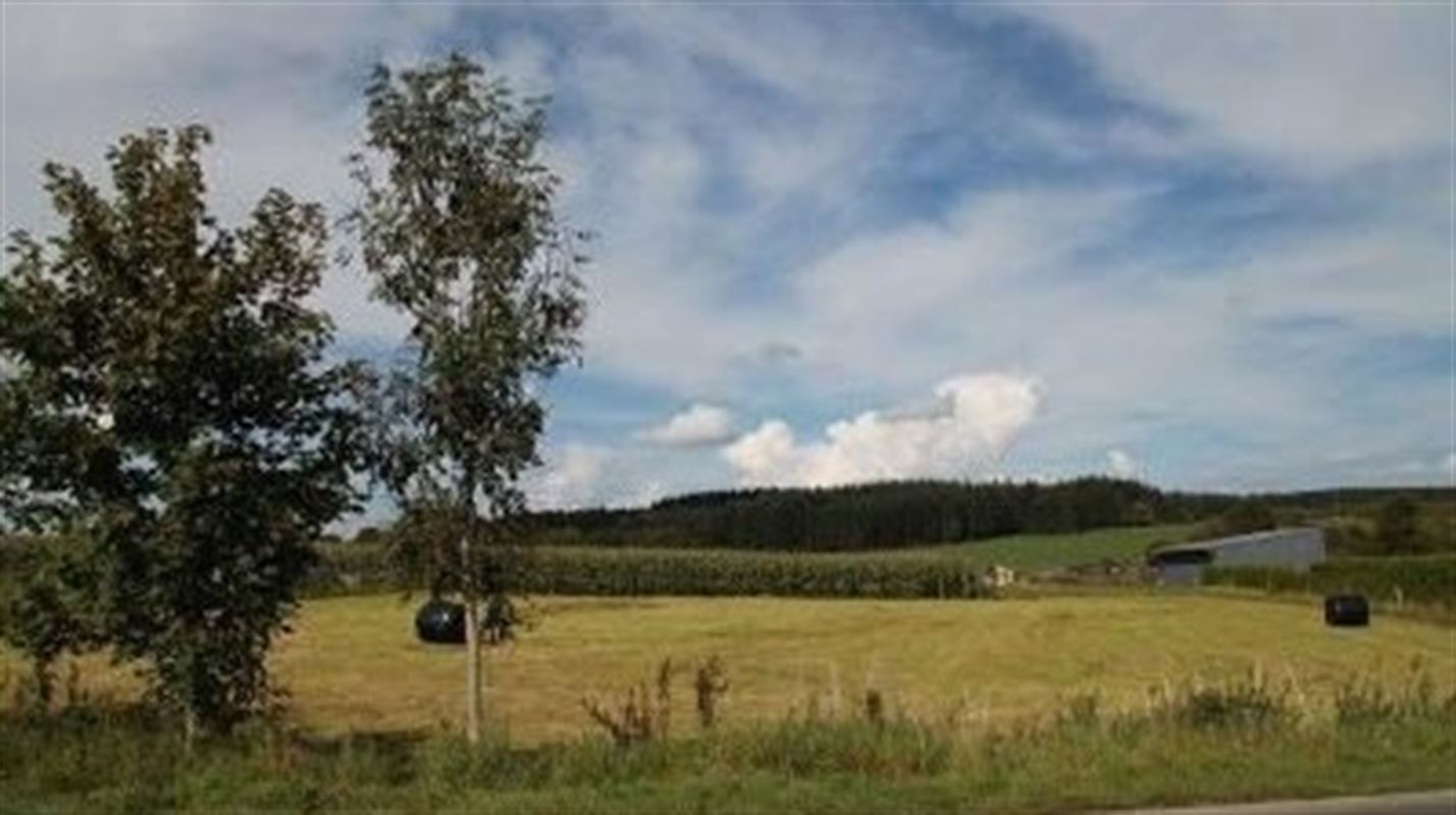 Villagrond Ardennen te koop te REINNE (5575)