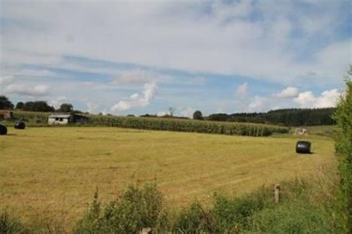 Villagrond Ardennen te koop te REINNE (5575)