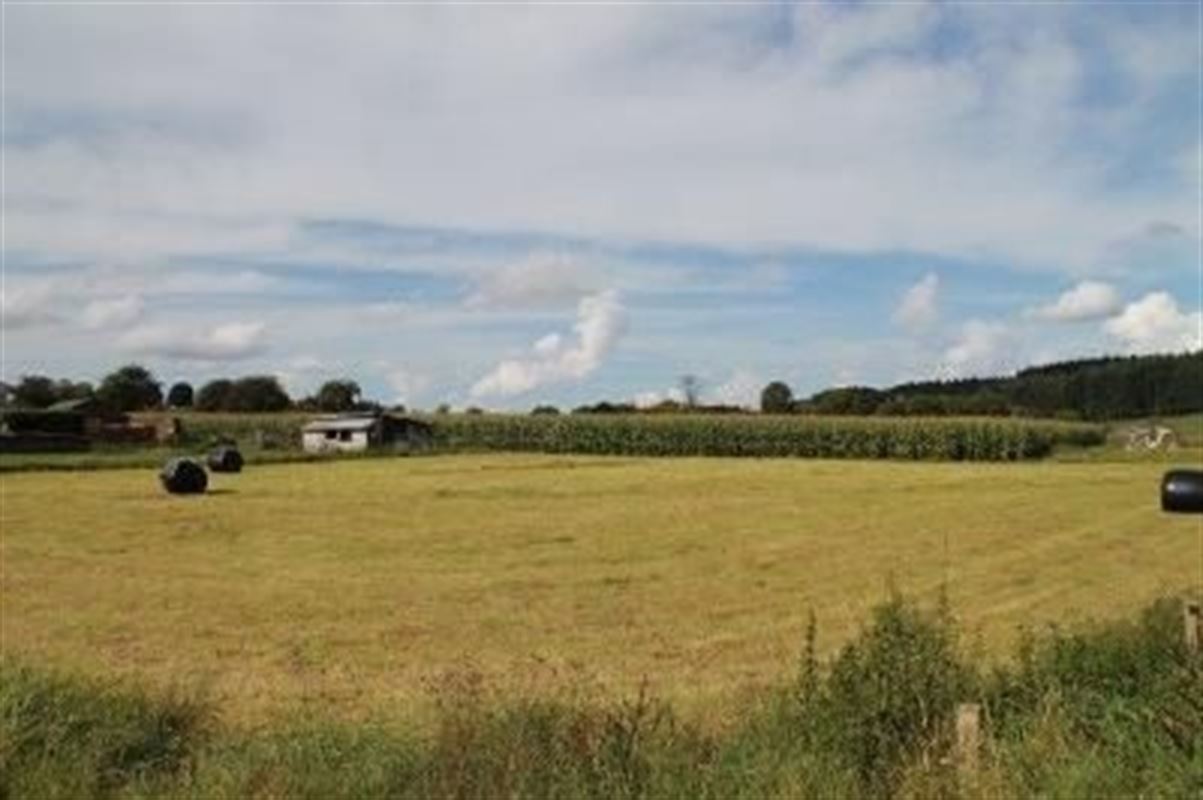 Villagrond Ardennen te koop te REINNE (5575)