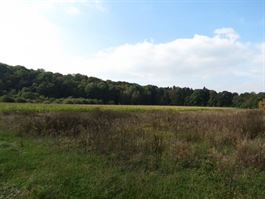 Villagrond Ardennen te koop te HOTTON (6990)