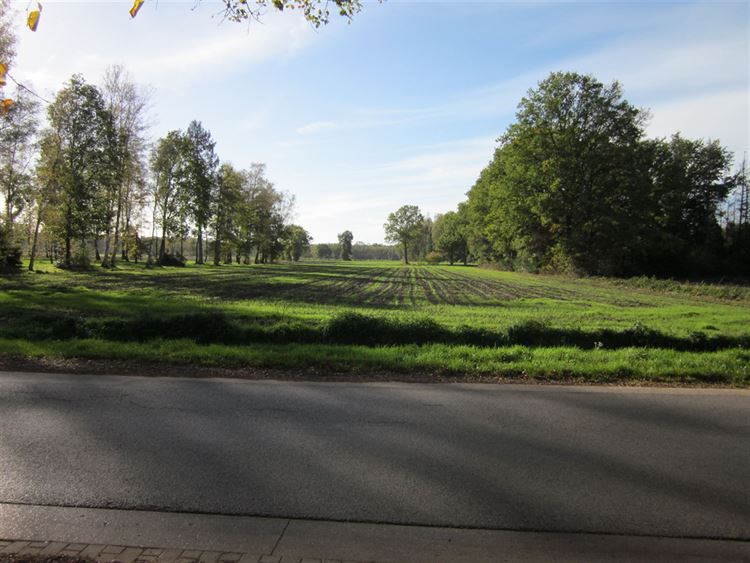 Foto 1 : Landbouwgrond te 2470 RETIE (België) - Prijs € 190.000