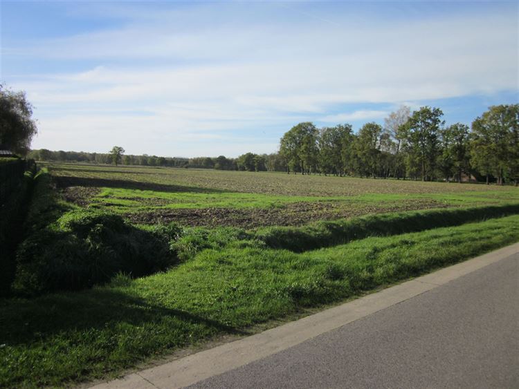 Foto 2 : Landbouwgrond te 2470 RETIE (België) - Prijs € 190.000