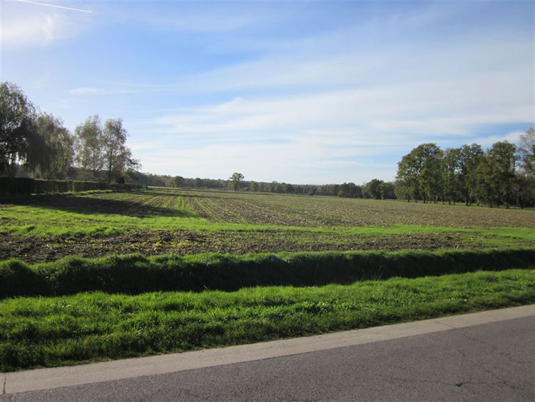 Foto 3 : Landbouwgrond te 2470 RETIE (België) - Prijs € 190.000