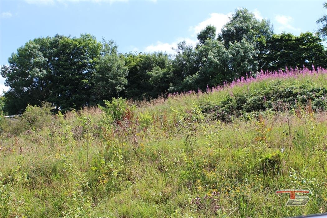 Terrain à bâtir