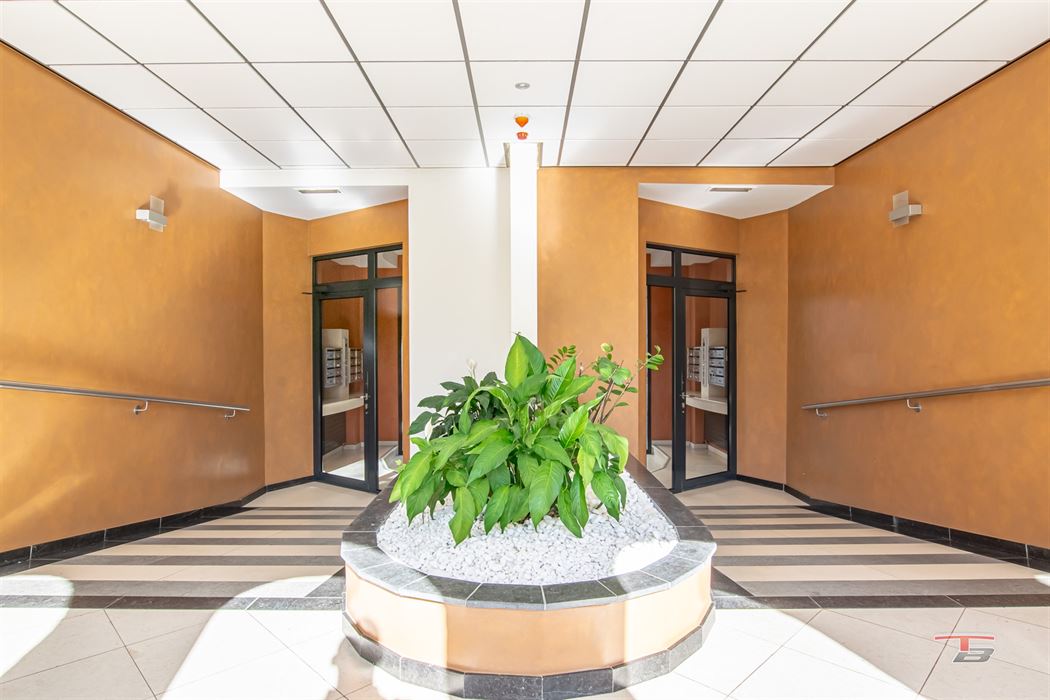 Penthouse au coeur de Spa
