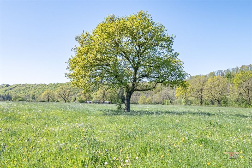 Terrain de loisir idéal pour chalets de seconde residences