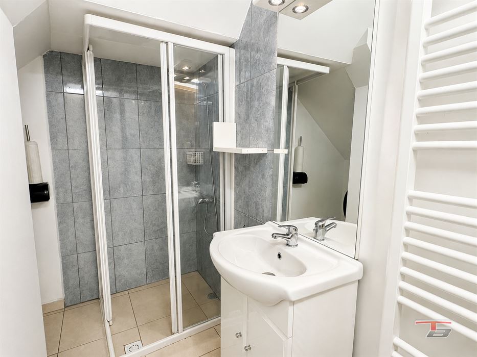 Appart 1 ch avec cour de 30m² à 2 pas de l'hyper centre