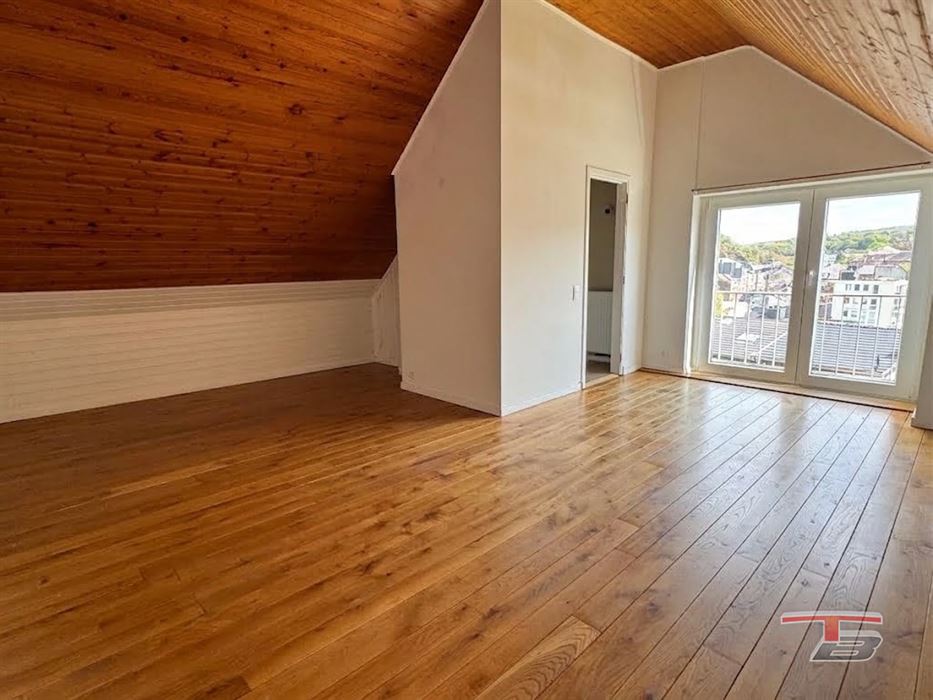 Spacieux et lumineux duplex au calme à 2 pas du centre-ville
