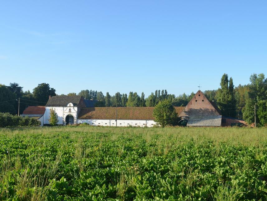 Vierkantshoeve gelegen in idyllisch Haspengouw