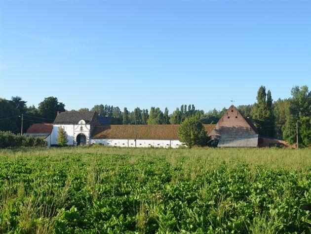 Vierkantshoeve gelegen in idyllisch Haspengouw