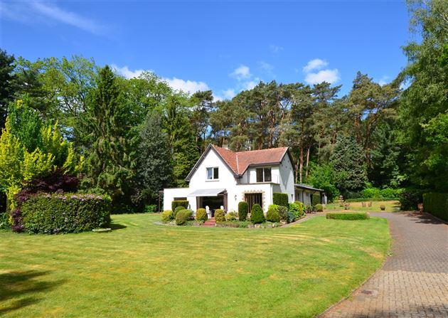 Rustig gelegen eigendom in Bolderberg
