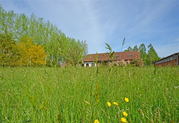 Charmante vierkantshoeve met stallingen
