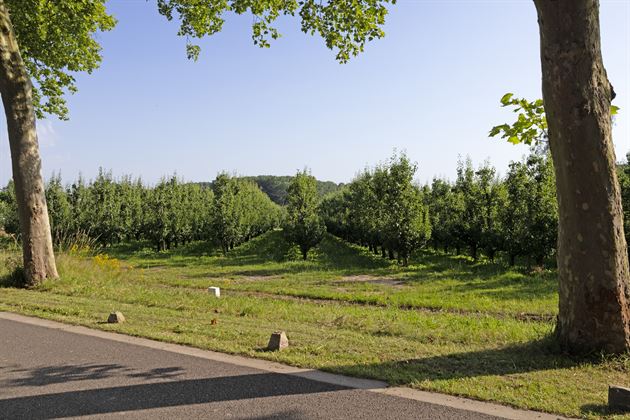 Exclusieve zuidwest georiënteerde bouwgrond in residentiële straat