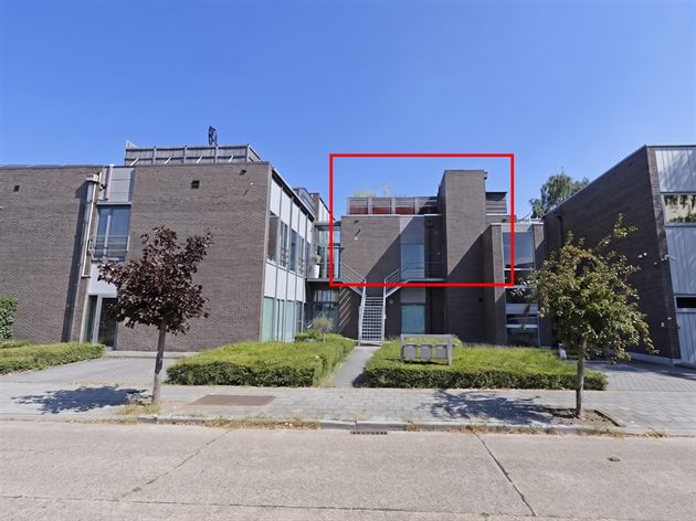 Unieke loft met dakterras