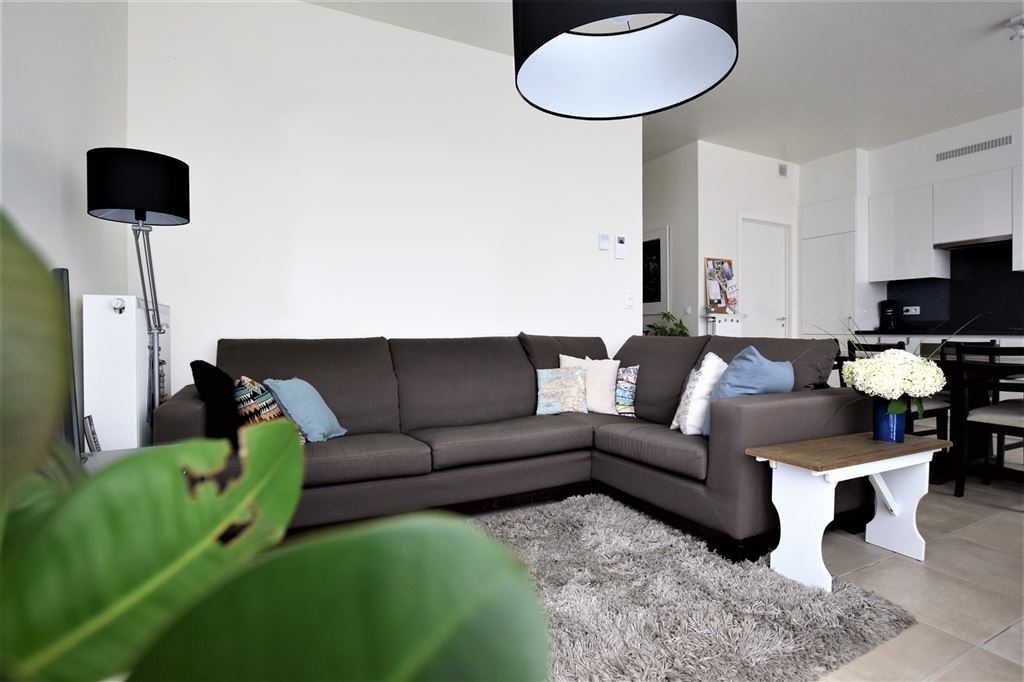 Vrijwilligersstraat 7, 2390 Malle