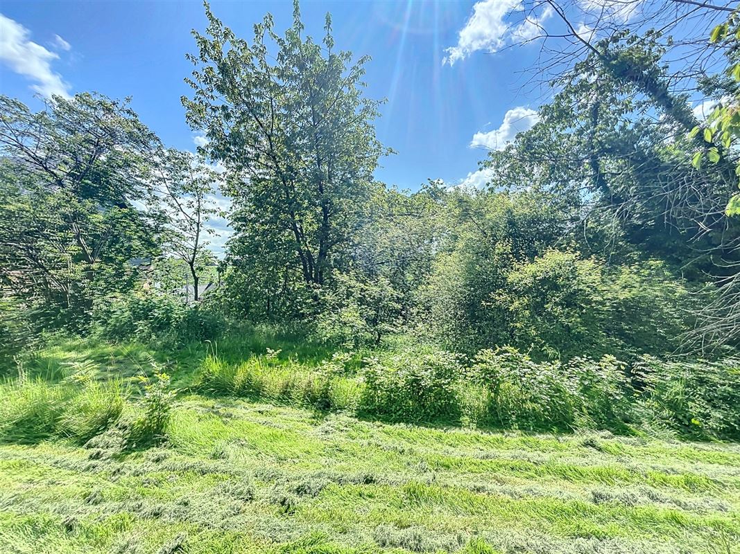 Terrain de 6,59 ares à Andenne