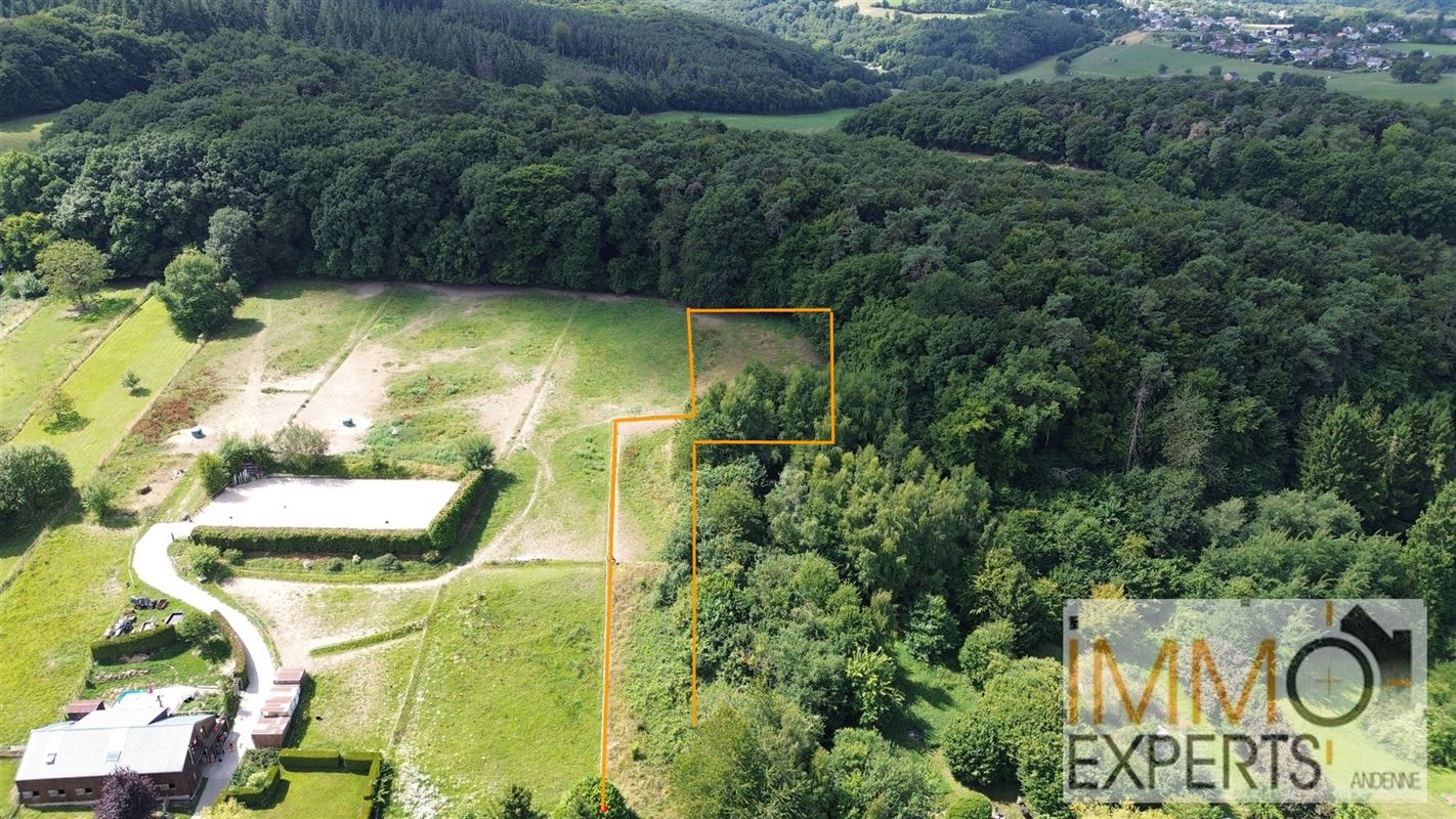 Terrain à bâtir + pature sur 36 ares