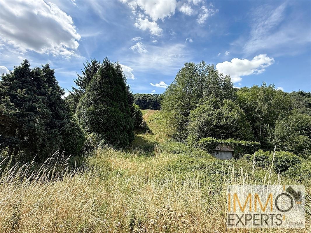 Terrain à bâtir + pature sur 36 ares