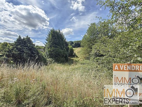 Terrain à bâtir + pature sur 36 ares