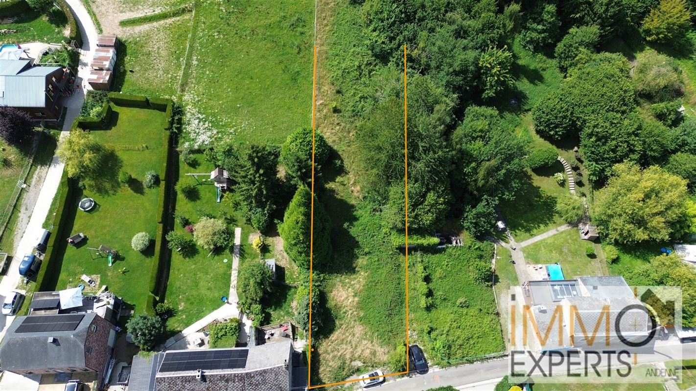Terrain à bâtir + pature sur 36 ares