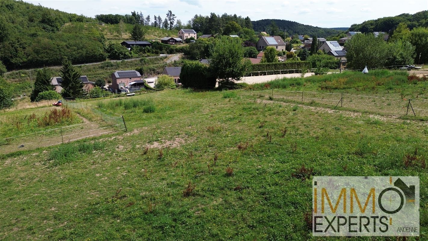 Terrain à bâtir + pature sur 36 ares
